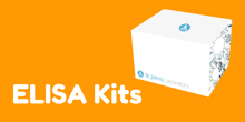 elisa_kits