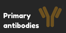 primary_antibodies